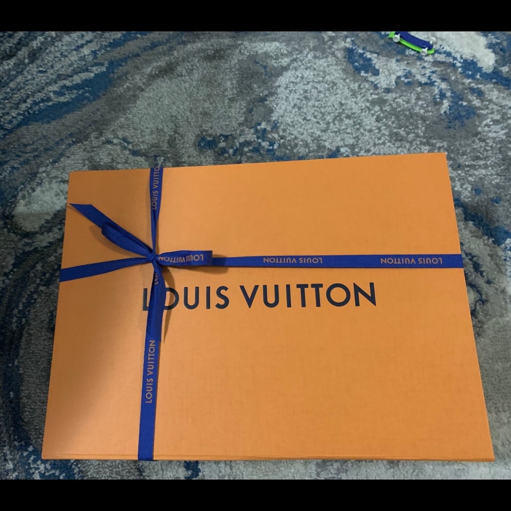 Brand new Louis Vuitton multi pochette bag